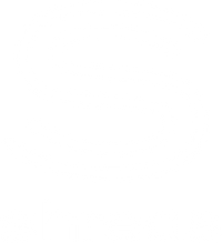 Dona Bela Shreds
