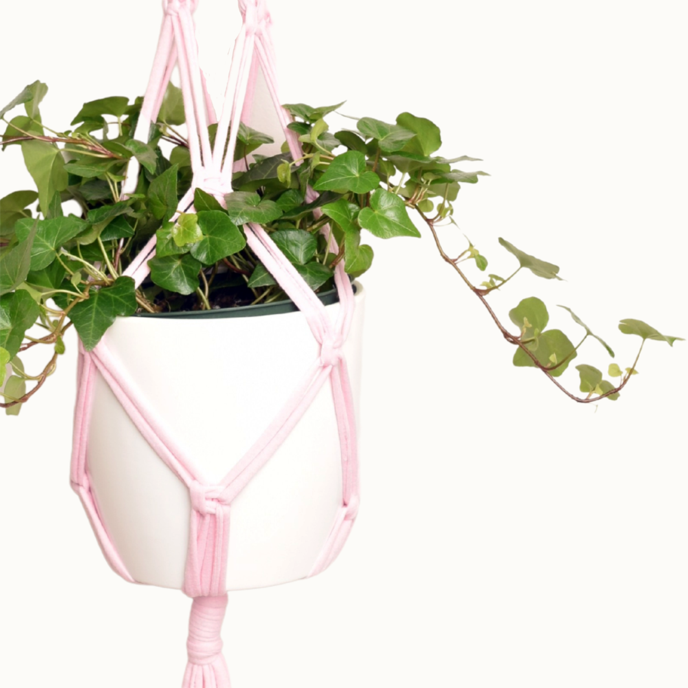 pink macrame plant hanger DIY Eco Macramé Plant Hanger Kit – Dona Bela Shreds
